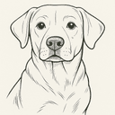 Line Sketch
